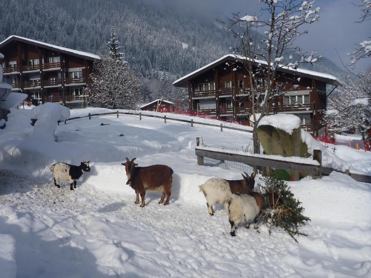 Reka-Feriendorf Lenk Hotel Exterior foto